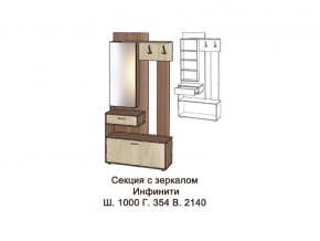 Секция с зеркалом в Нязепетровске - nyazepetrovsk.magazinmebel.ru | фото