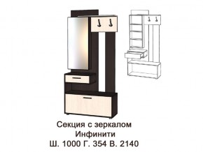 Секция с зеркалом в Нязепетровске - nyazepetrovsk.magazinmebel.ru | фото