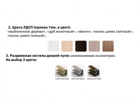 Шкаф-купе Акцент-Сим Д 1000-600 беленое дерево в Нязепетровске - nyazepetrovsk.magazinmebel.ru | фото - изображение 3