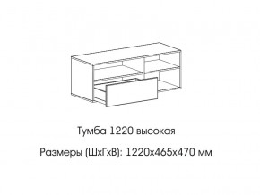 Тумба 1220 (высокая) в Нязепетровске - nyazepetrovsk.magazinmebel.ru | фото